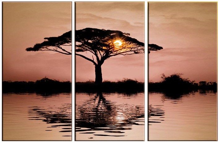 landscape AFRICAN SUNSET